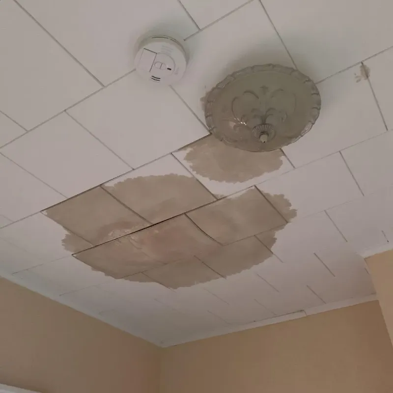 Ceiling Water Damage Repair in Valley Center, KS