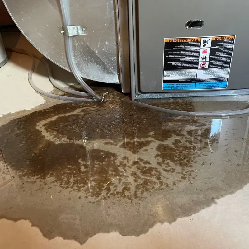 Pipe Burst and Leak Restoration in Valley Center, KS