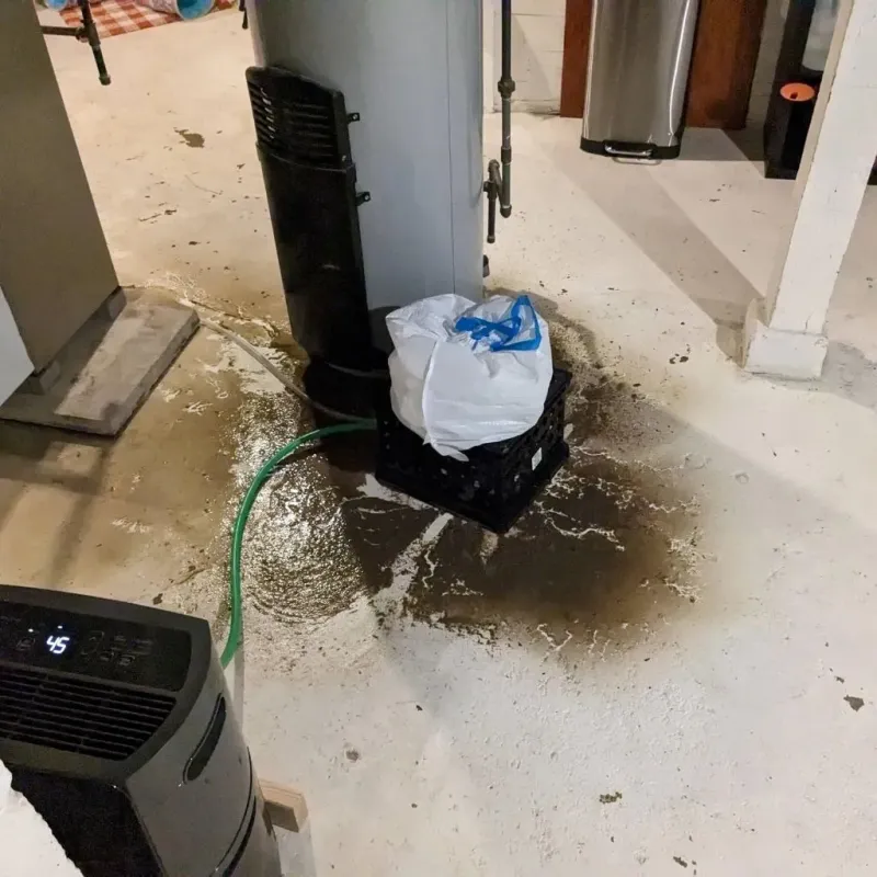 Sewage Backup Cleanup Service in Valley Center, KS